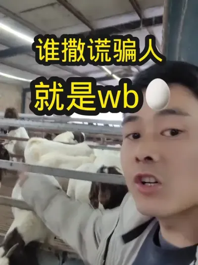 不敢保证完全解决问题，但是不满意，记得来找小卢申请退款#养羊#养羊人#养羊技术分享#科学养羊#农村养羊