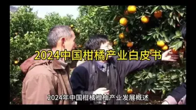 #剪映接入DeepSeek #2024中国柑橘产业白皮书@云食界展贸服务平台