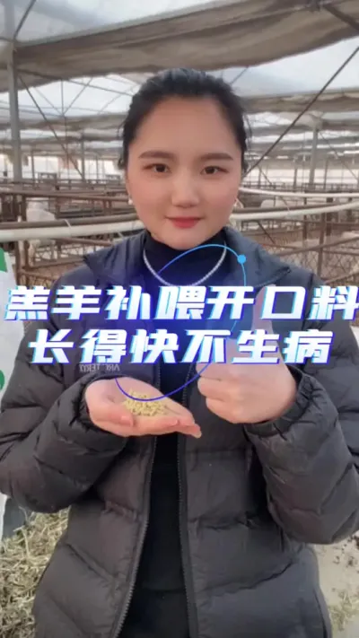 羔羊开口料#牛羊饲料 #羔羊饲料 #羔羊料#育肥羊羔专用饲料
