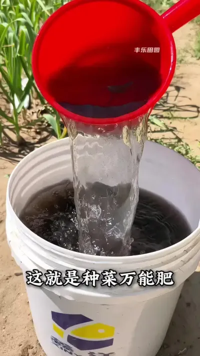 这就是#种菜 万能肥，瓜果蔬菜用了不仅产量高，口感还有儿时的味道#蔬菜种植 #蔬菜专用肥 #种植小技巧 #田园生活