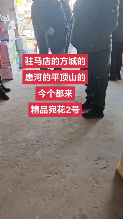 社旗县朝晖农资在双凤购物广场斜对面#农业人 #花生 #农业种植技术 #抖音助农扶农 #农业