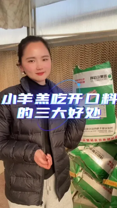 开口料的好处#羊羔开口料 #开口料 #羔羊料