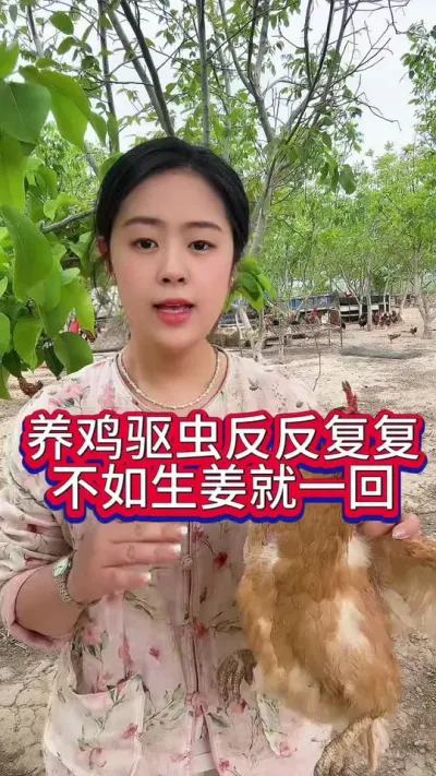 一年四季养鸡驱虫反反复复不如生姜就一回#养鸡#科学养鸡#养鸡妙招#鸡鸭鹅养殖#抖音养鸡人
