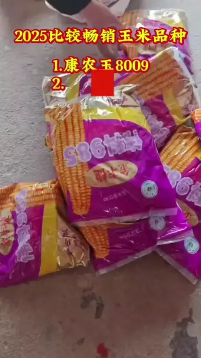 大年初六开工大吉，开门笑迎八方来客，𠄘蒙厚爱，感恩于心，服务于行！祝新老顾客新的一年顺风顺水顺财神，吉祥如意，大吉大利！#农业 #服务三农 #抖音助农扶农 #高产玉米种子 #诚信经营