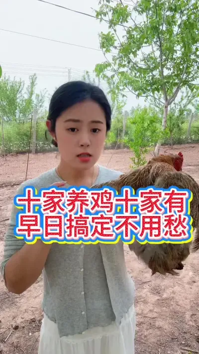 #鸡鸭鹅养殖 #抖音养鸡人 #科学养鸡 #服务三农支持三农 #养鸡人