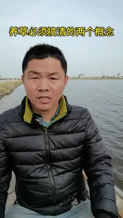 想要螃蟹养的好，全程都要保水草 #水产养殖 #河蟹养殖