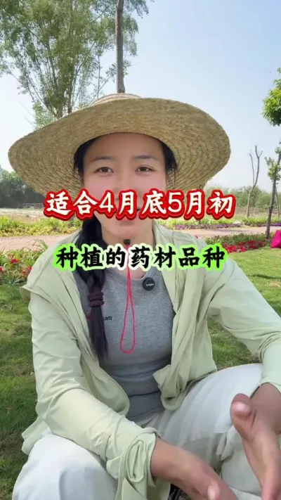 药材种植 适合4月5月初种植的药材品种 #药材种植 #药材管理 #药材高产