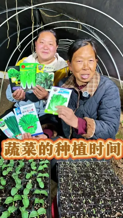 蔬菜的种植时间 瓜果蔬菜的种植时间#蔬菜种植 #应季蔬菜时间表 #生菜杨姐 #蔬菜种子 @DOU+小助手