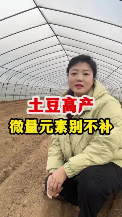 土豆高产，微量元素要补#土豆高产种植 @抖音小助手 #种土豆