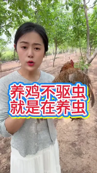 #科学养鸡 #鸡鸭鹅养殖 #抖音养鸡人 #养鸡人 #服务三农支持三农