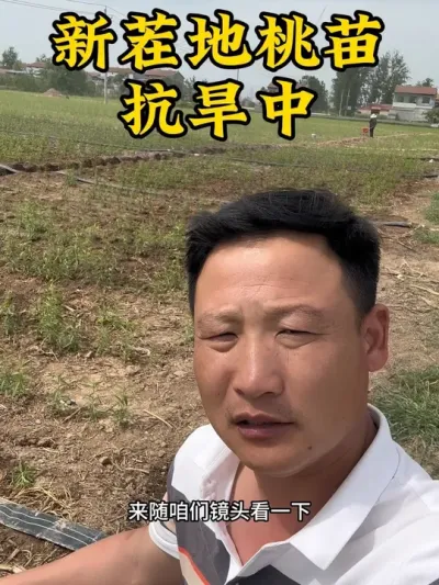 #农业种植 #抖音助农扶农 #新农人计划 #苗圃基地 #新品种桃苗 @抖音小助手 @抖音热点 @抖音创作者中心