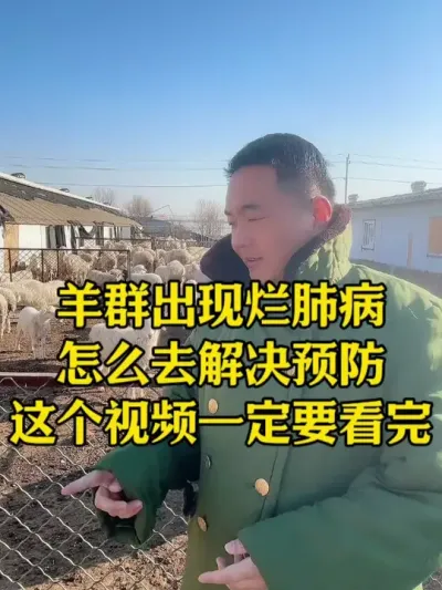 羊群出现烂肺病养殖户该如何去解决和预防  #牛羊烂肺病   #牛羊养殖   #畜牧养殖   #每天分享牛羊养殖小知识