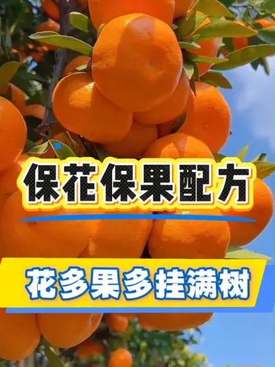 万能保花保果配方#果树管理 #果树种植 #果园管理