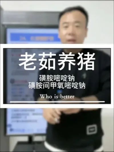 猪脑炎，用什么药打针效果最好？#养猪人 #创作灵感#科学养殖