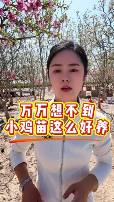 万万没想到用这个方法小鸡苗这么好养#养鸡#育雏#科学育雏#养鸡妙招#鸡苗