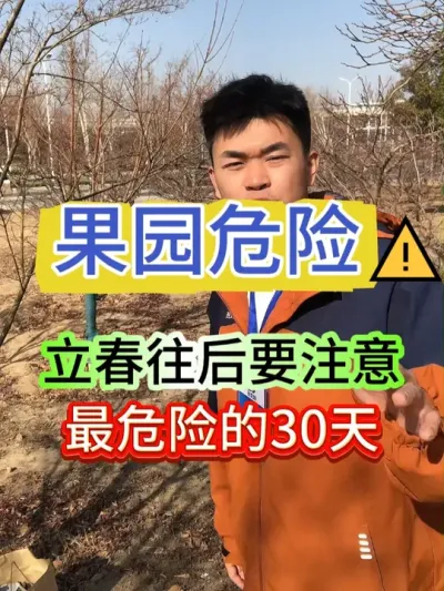 立春后果园最危险30天，一定要注意了#果树管理 #病虫害防治 #果树种植 #果园管理