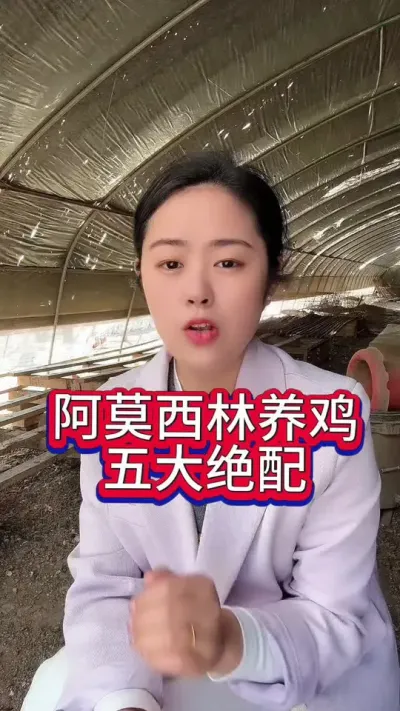 养鸡中阿莫西林的五大搭配养鸡人一定要记住#养鸡 #鸡病防治 #服务三农支持三农 #鸡鸭鹅养殖 #养殖小妙招