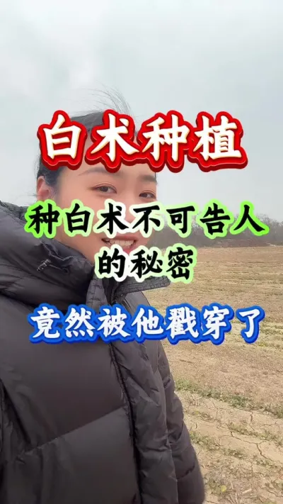 白术种植 种白术不可告人的秘密竟然被他戳穿了 #白术种植 #白术管理 #白术高产