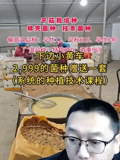 2,999的菌种赠一套（系统的种植技术课程），小黄车可直接下单。#平菇种植 #平菇菌种 #种植课程 #平菇技术