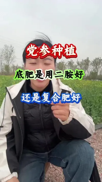党参种植 党参底肥是用二胺好还是复合肥好 #党参种植 #党参高产 #党参管理 #党参底肥