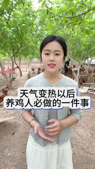 天气变热以后养鸡人一定要做一件事#养鸡#散养土鸡#科学养鸡#养鸡妙招#鸡鸭鹅养殖