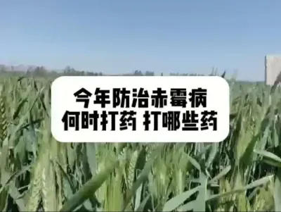 #原创视频 #新农人计划 #抖音助农 #农业人话农业#一份耕耘一份收获