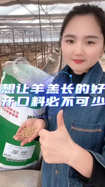 羔羊开口料#养羊人 ##养羊妹 #我的养殖生活