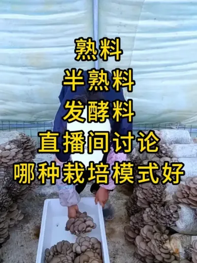 平菇种植，直播间讨论各种栽培模式哪个好，关注我，直播间分享不一样的干货#平菇种植 #平菇菌种 #食用菌栽培种 #栽培种