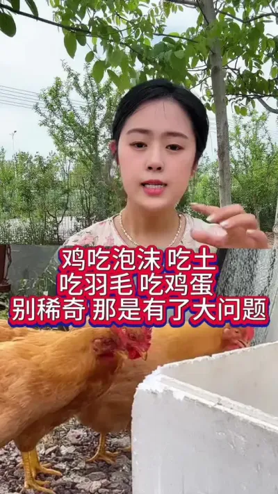 #科学养鸡 #服务三农支持三农 #鸡鸭鹅养殖 #养殖小妙招 #养鸡人