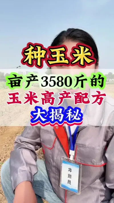 亩产3580斤的玉米高产配方大揭秘#玉米 #玉米管理#玉米种植#玉米高产#种玉米