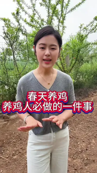 春天养鸡养鸡人必做的一件事#鸡鸭鹅养殖 #养鸡人 #科学养鸡 #服务三农支持三农 #抖音养鸡人