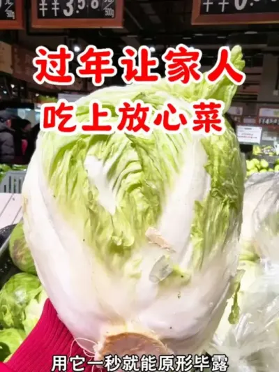过年让家人吃上放心蔬菜 #食品安全 #健康 #一日三餐 #农药残留 #蔬菜检测农药残留仪器