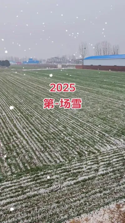 下雪了#抖音助农 #农业人 #关注三农 #小麦 #田间地头走一走