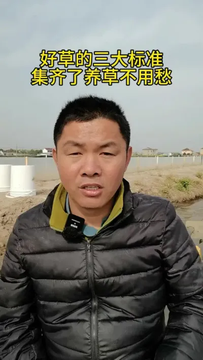 好草的三大标准 #养蟹发哥 #水产养殖