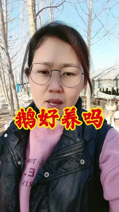 鹅好养吗？#养鹅 #养鹅技术分享 #科学养鹅 #养鹅技术 #鹅