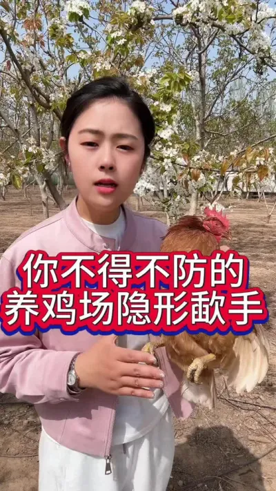 你不得不防的养鸡场隐形歃手#养鸡#科学养鸡#养鸡妙招#散养土鸡#鸡鸭鹅养殖