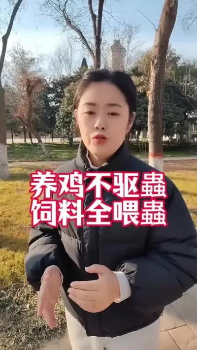 养鸡不驱蟲，饲料全喂蟲#养鸡#科学养鸡#鸡鸭鹅养殖#散养土鸡
