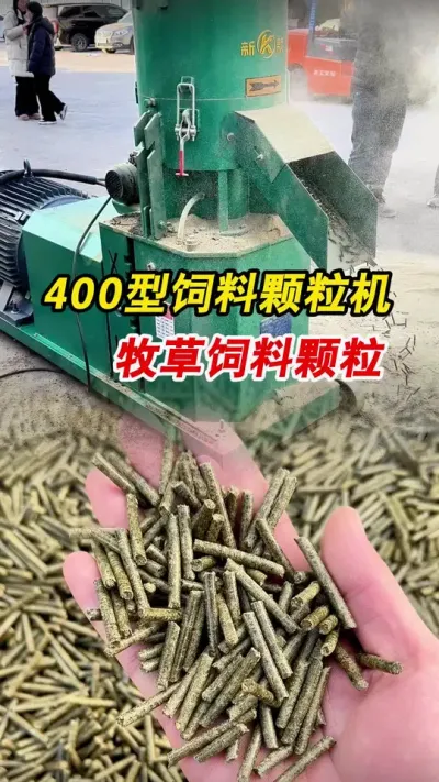 信阳客户带料来厂，400型升级款饲料颗粒机牧草做颗粒。#颗粒机 #饲料颗粒机 #养殖