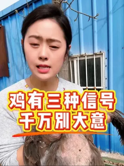 鸡有三种信号千万别大意#科学养鸡 #鸡病防治 #养殖小妙招 #鸡鸭鹅养殖 #服务三农支持三农