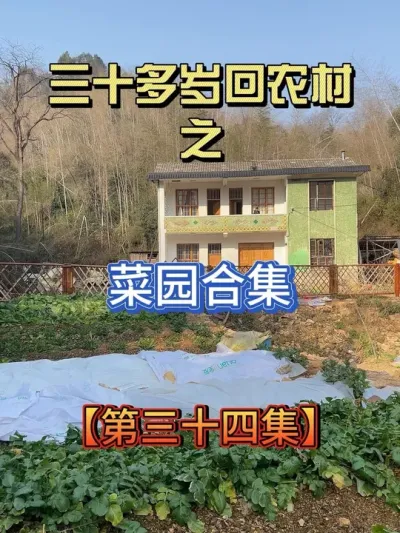 耗时5个月，我的菜园从开荒到收获满满的全过程 开荒不用怕，埋头挖就行#我的农村生活 #记录真实生活 #田园生活 #2025新农人计划 #抖音商城