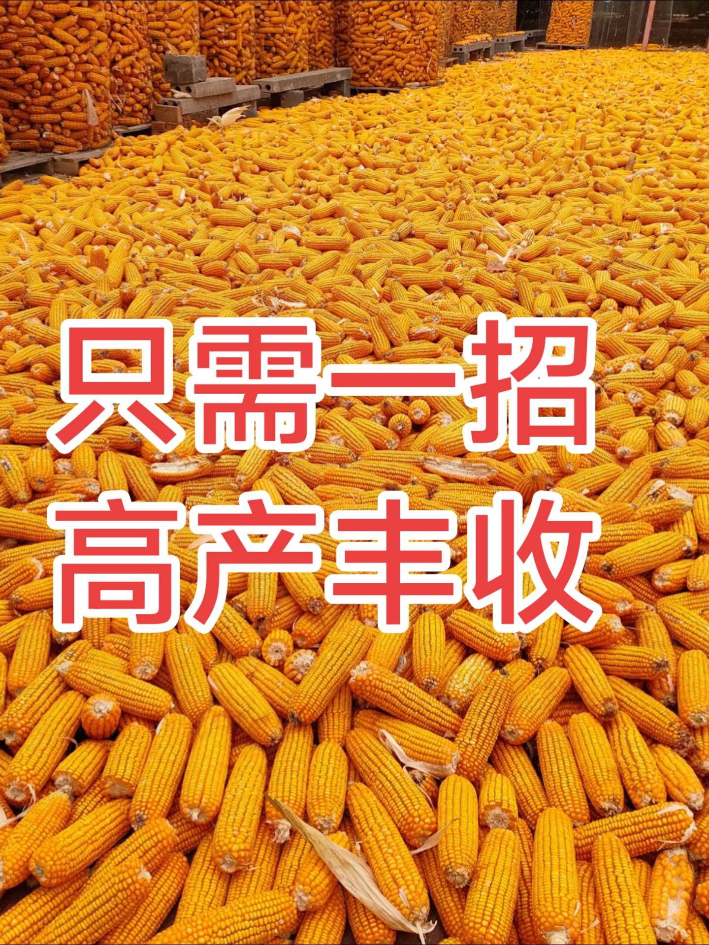 http://static.ixuenong.com/pxn/uploads/prod/thirdfile/2025/05/1aaebb616ce9f8d354988b9278b369af.jpg