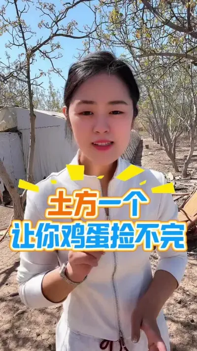 土方一个让你鸡蛋捡不完 #养鸡#养鸡妙招#科学养鸡#散养土鸡