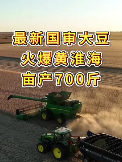 国审大豆新品种，谁种谁丰收，产量高的惊人 #服务三农支持三农 #抖音助农 #产量特别高 #农民种地不容易