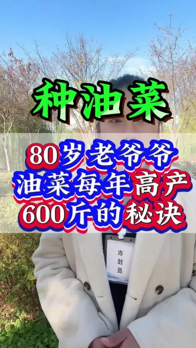 80岁老爷爷油菜每年高产600斤的秘诀#油菜种植 #抖音助农 #三农 #种植小技巧 #农业种植