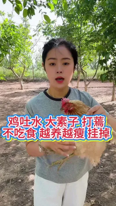 #科学养鸡 #鸡鸭鹅养殖 #抖音养鸡人 #服务三农支持三农 #养鸡人