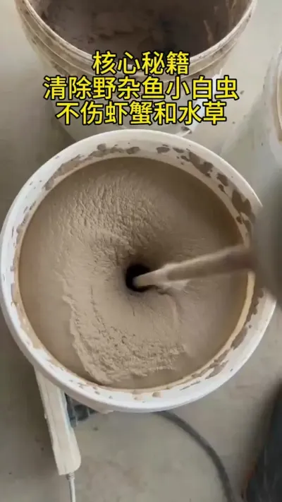 杀小白虫除野杂鱼泥鳅的秘籍 #养蟹 #大闸蟹养殖