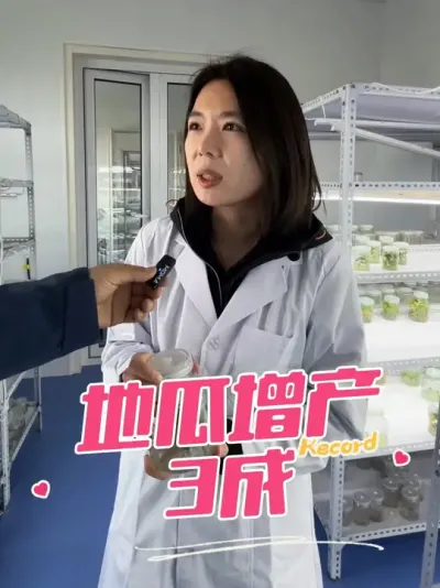 地瓜如何能轻松高产？ 辽宁省农科院专家告诉你种苗的秘密#抖音助农 #农业种植 #农机 #春耕进行时 #阿普多