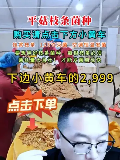 一位内蒙的平菇小白看了这个课程，收获不小，技术有了，菌种也有了。#平菇种植 #菌种 #平菇菌种 #食用菌栽培种