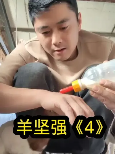 #养殖 #农村养羊 #养羊 #养羊人