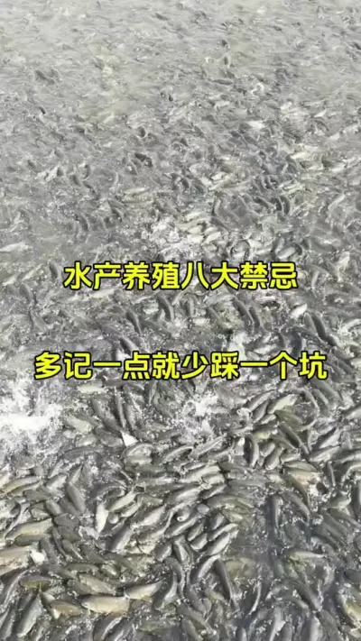 水产养殖的八大禁忌 #水产养殖 #高密度养殖 #特种水产 #鱼虾蟹养殖 @抖加🔥上热门🔥dou+🔥热点宝
